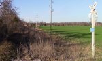 Abandoned UP Rend Lake coal mine line